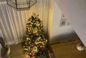 Foto 12