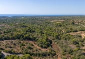Земля на продажу у города Cala Santanyí Фото