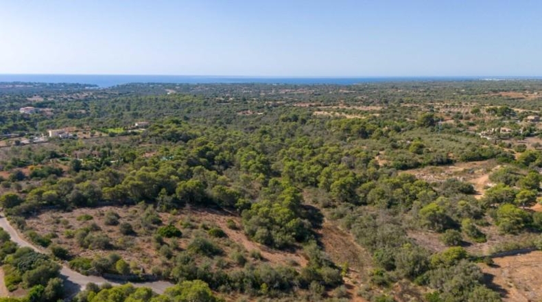 Islas Baleares - Santañy - 20132m2