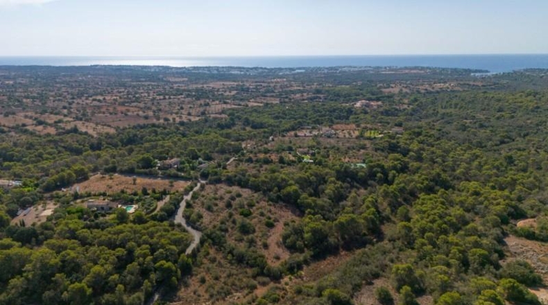 Islas Baleares - Santañy - 20132m2