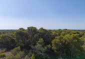 Земля на продажу у города Cala Santanyí Фото