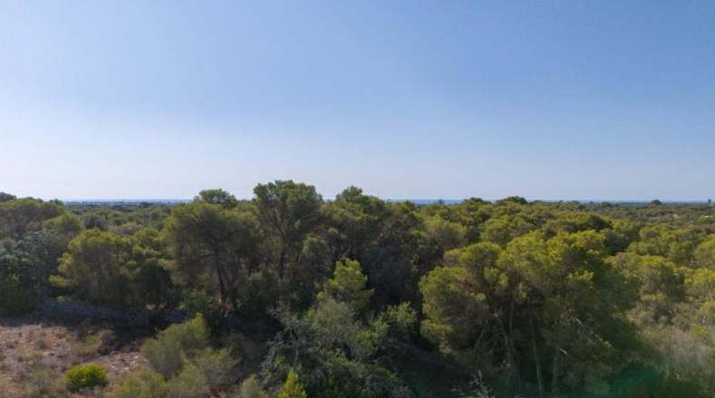 Islas Baleares - Santañy - 20132m2