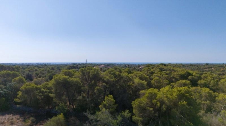 Islas Baleares - Santañy - 20132m2