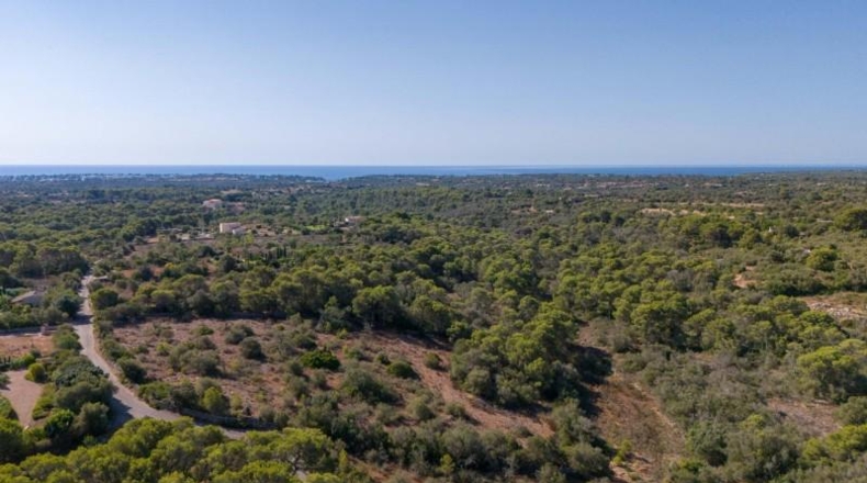 Islas Baleares - Santañy - 20132m2