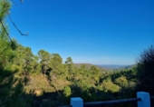 Village house for sale on España, La Nava, ref: TR315495 photo