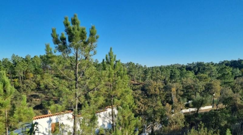 Huelva - La Nava - 180m2
