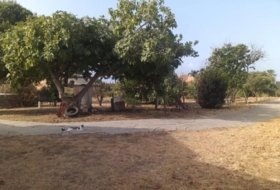 Foto 15