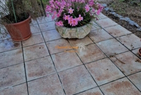 Foto 11