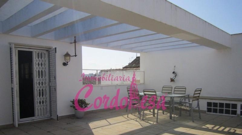 Córdoba - Córdoba - 725m2
