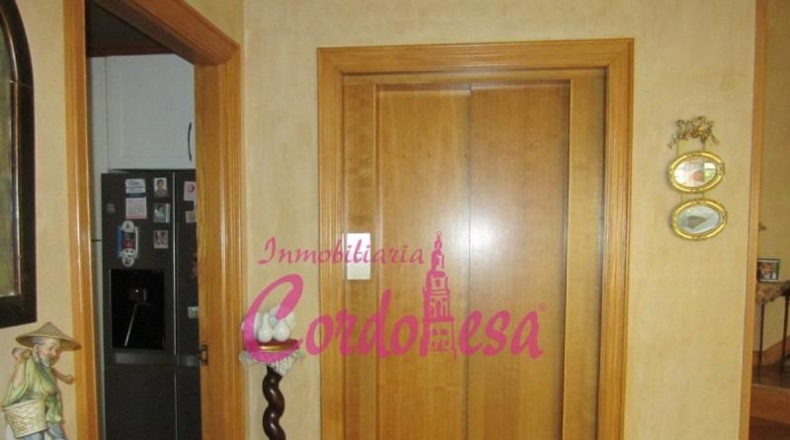 Córdoba - Córdoba - 725m2