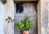 Chalet independiente con terreno en venta en la España, Campanet, ref: TR141786 foto