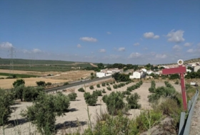 Foto 11