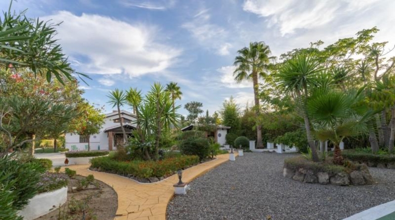 Málaga - Alhaurín el Grande - 5000m2