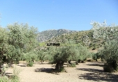 Xalet independent amb terreny en venda a la España, Bunyola, ref.: TR136047 foto
