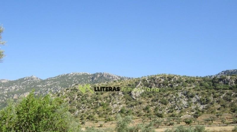 Islas Baleares - Bunyola - 51713m2