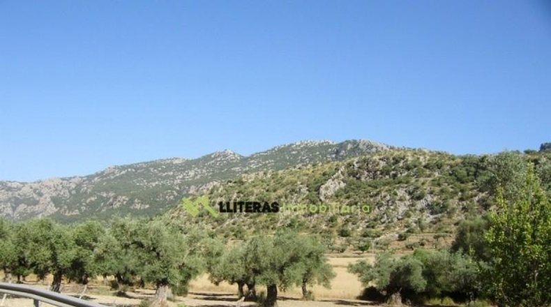 Islas Baleares - Bunyola - 51713m2