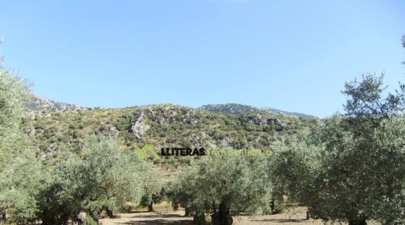 Islas Baleares - Bunyola - 51713m2