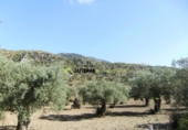 Xalet independent amb terreny en venda a la España, Bunyola, ref.: TR136047 foto