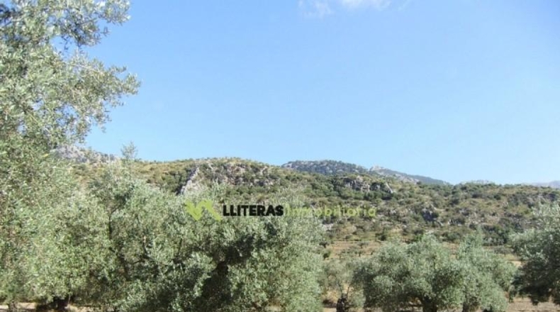 Islas Baleares - Bunyola - 51713m2