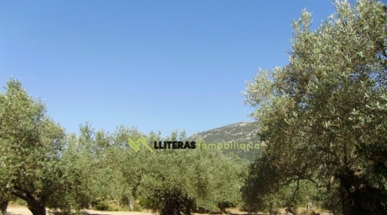 Islas Baleares - Bunyola - 51713m2