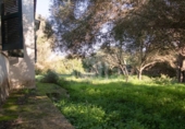 Casa de campo con terreno en venta en la España, Ciutadella de Menorca, ref: TR194791 foto
