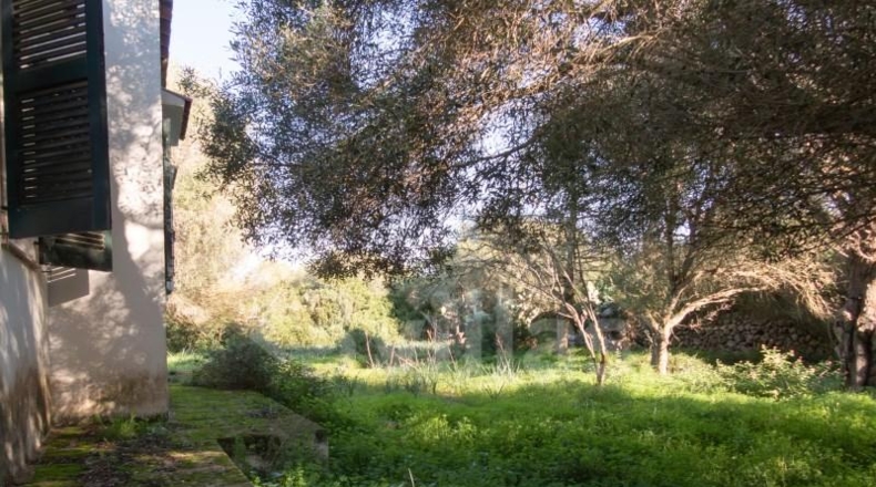 Islas Baleares - Ciudadela - 50000m2