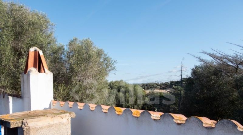 Islas Baleares - Ciudadela - 50000m2