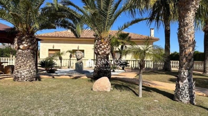 Alicante - Aspe - 10520m2