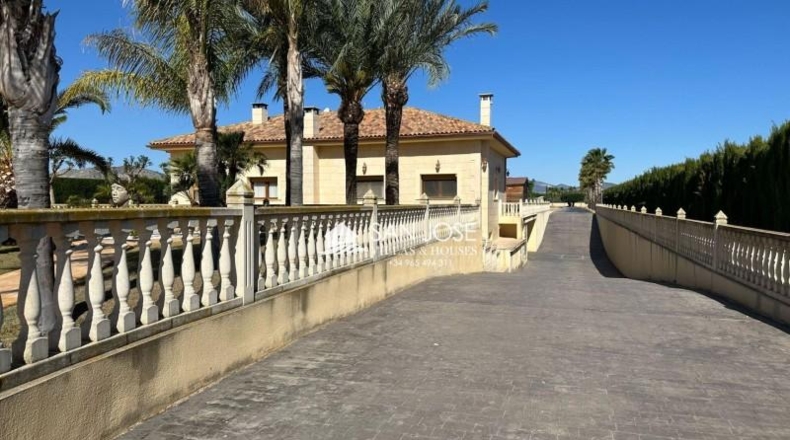 Alicante - Aspe - 10520m2