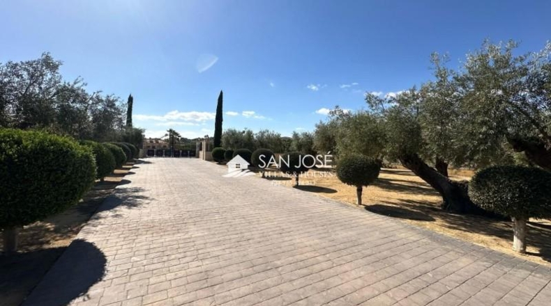Alicante - Aspe - 10520m2