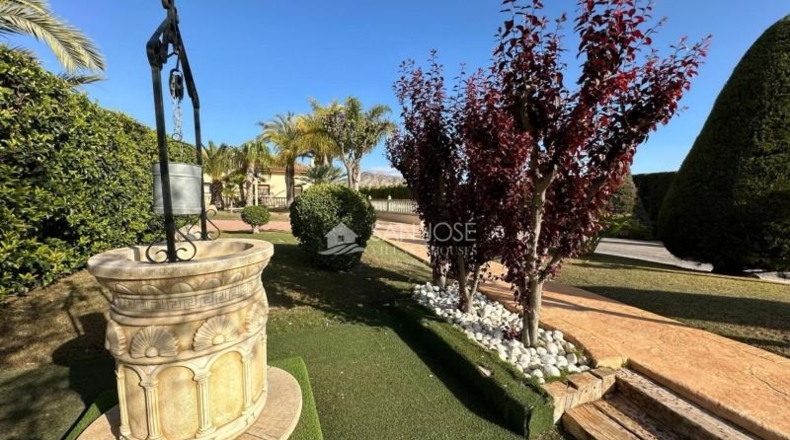 Alicante - Aspe - 10520m2