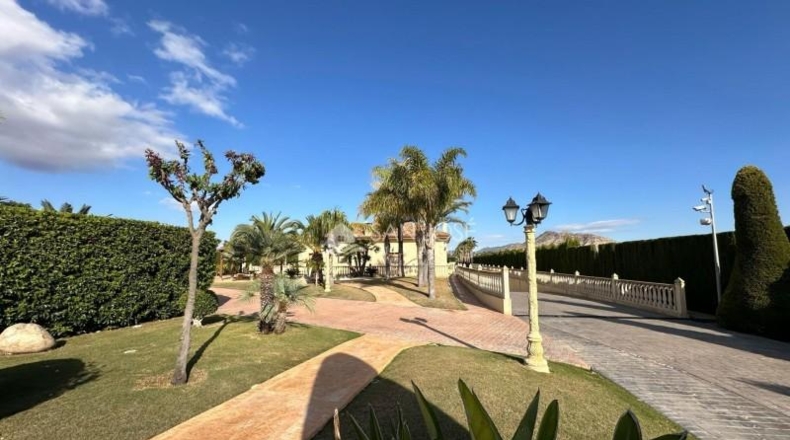 Alicante - Aspe - 10520m2
