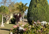 Chalet independiente con terreno en venta en la España, Aspe, ref: TR398835 foto