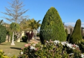 Chalet independiente con terreno en venta en la España, Aspe, ref: TR398835 foto