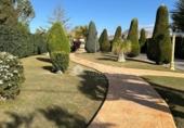 Chalet independiente con terreno en venta en la España, Aspe, ref: TR398835 foto