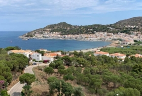 Foto 1