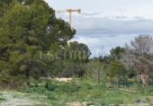Non-developable land for sale on España, Bétera, ref: TR381647 photo
