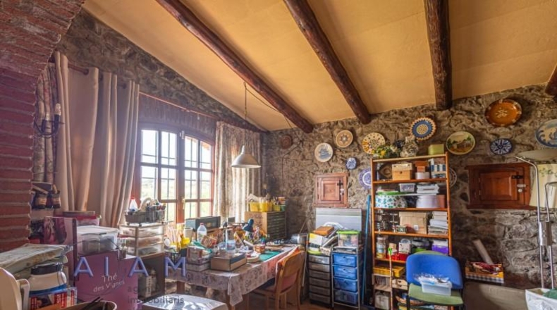 Teruel - Alcalá de la Selva - 63000m2
