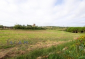 Casa de campo con terreno en venta en la España, Maçanet de la Selva, ref: TR345029 foto
