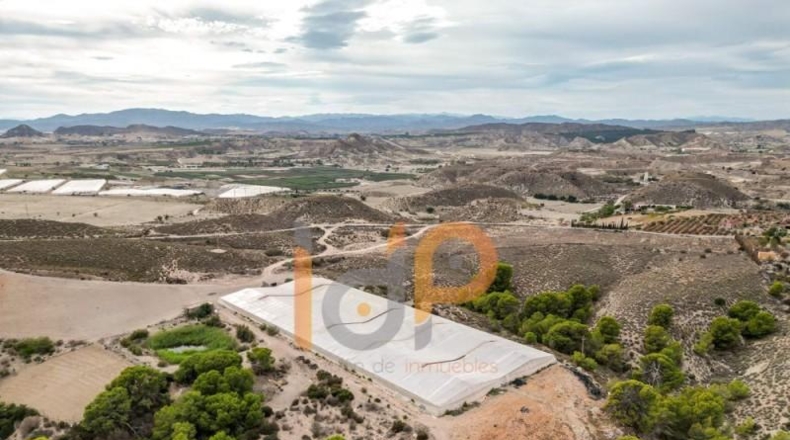 Almeria - Cuevas del Almanzora - 110000m2