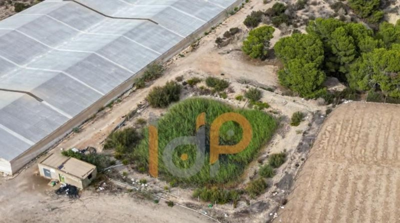 Almeria - Cuevas del Almanzora - 110000m2