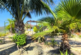 Foto 8
