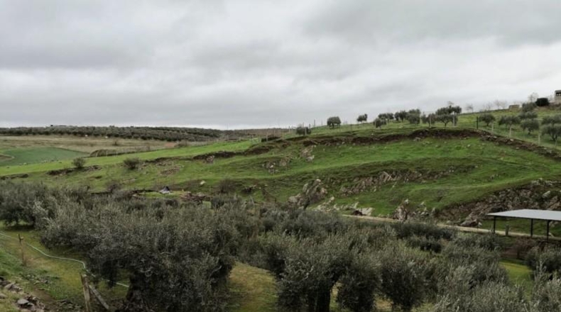 Córdoba - Belalcázar - 18433m2
