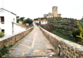 Xalet independent amb terreny en venda a la España, Belalcázar, ref.: TR137800 foto