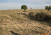 Terreno no urbanizable en venta en la España, Montealegre del Castillo, ref: TR136402 foto