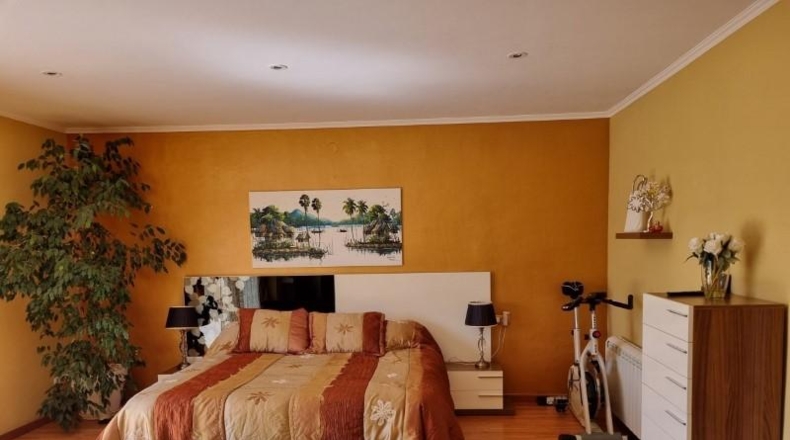 Córdoba - Palma del Río - 890m2