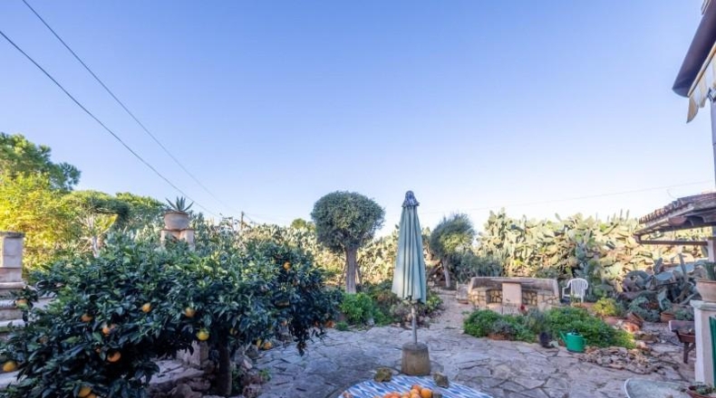Illes Balears - Campos - 33800m2