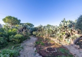 Chalet independiente con terreno en venta en la España, Campos, ref: TR367258 foto