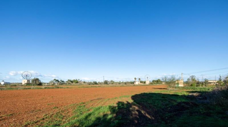 Illes Balears - Campos - 33800m2