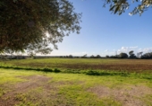 Chalet independiente con terreno en venta en la España, Campos, ref: TR367258 foto